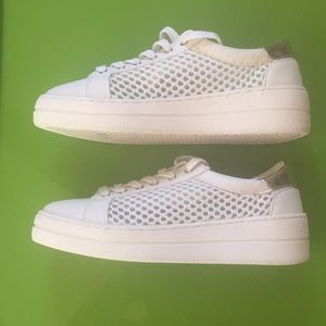 Steve Madden Sneakers